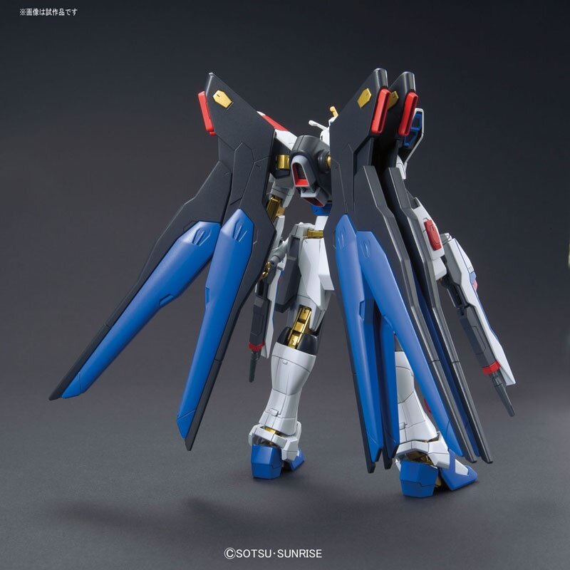 HG 1/144 ZGMF-X20A Strike Freedom Gundam HG201