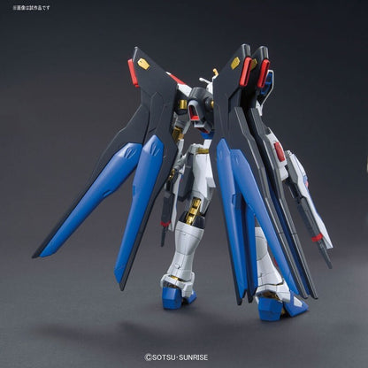 HG 1/144 ZGMF-X20A Strike Freedom Gundam HG201