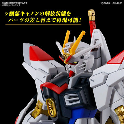 GUNDAM - HG 1/144 Mighty Strike Freedom Gundam - Model Kit Bandai