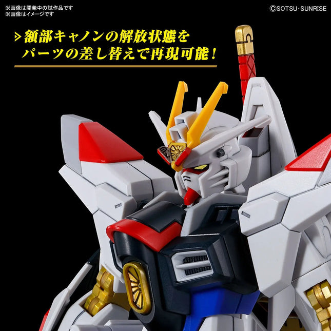 GUNDAM - HG 1/144 Mighty Strike Freedom Gundam - Model Kit Bandai